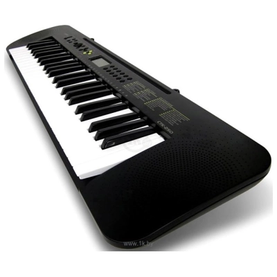 Casio CTK-245