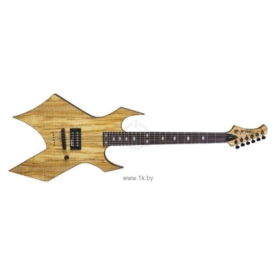 B.C. Rich Exotic Warlock