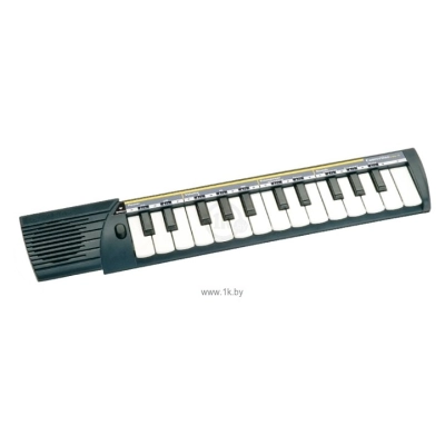 Bontempi C 25.N