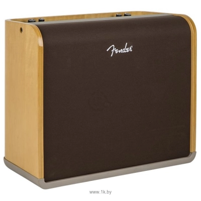 Fender Acoustic Pro