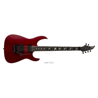 Caparison Dellinger Prominence