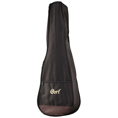 Cort AC-50 w/bag