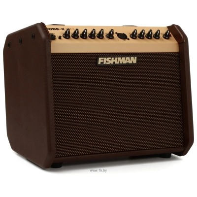 Fishman Loudbox Mini