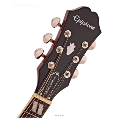 Epiphone Hummingbird PRO