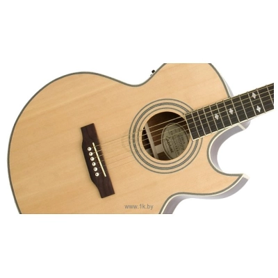 Epiphone PR-5E Natural