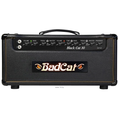 Bad Cat Black Cat 30