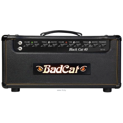 Bad Cat Black Cat 40