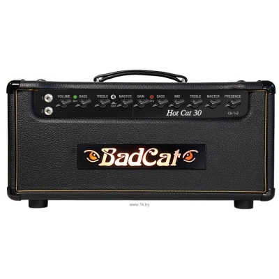 Bad Cat Hot Cat 30