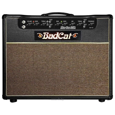 Bad Cat Hot Cat 30 1x12 Combo