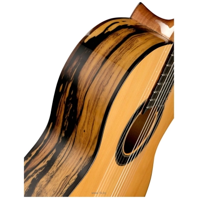 Alhambra Classical Conservatory 6 White Ebony 8.891V